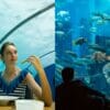 Underwater Restaurants in Dubai