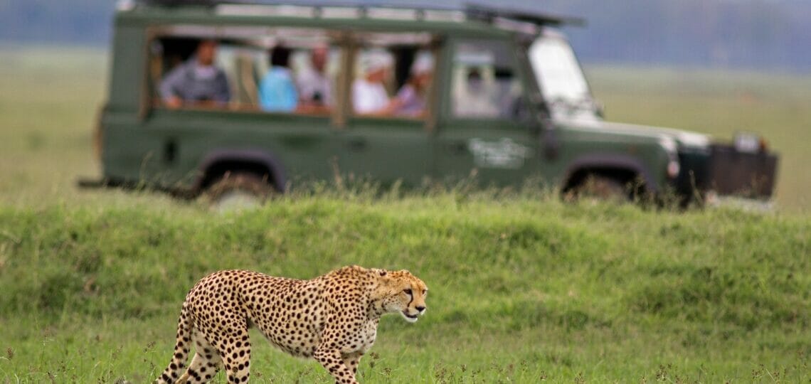 sharjah safari park